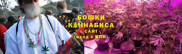 прущая мука Пересвет