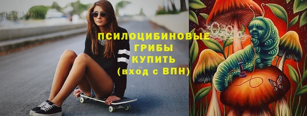 прущая мука Пересвет