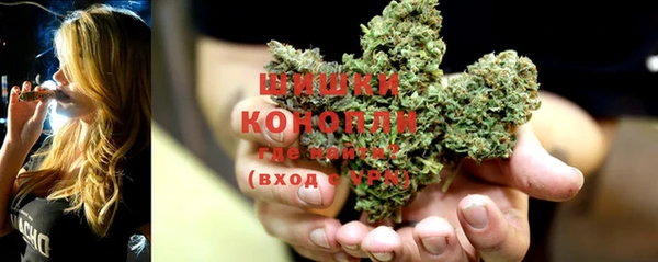 прущая мука Пересвет